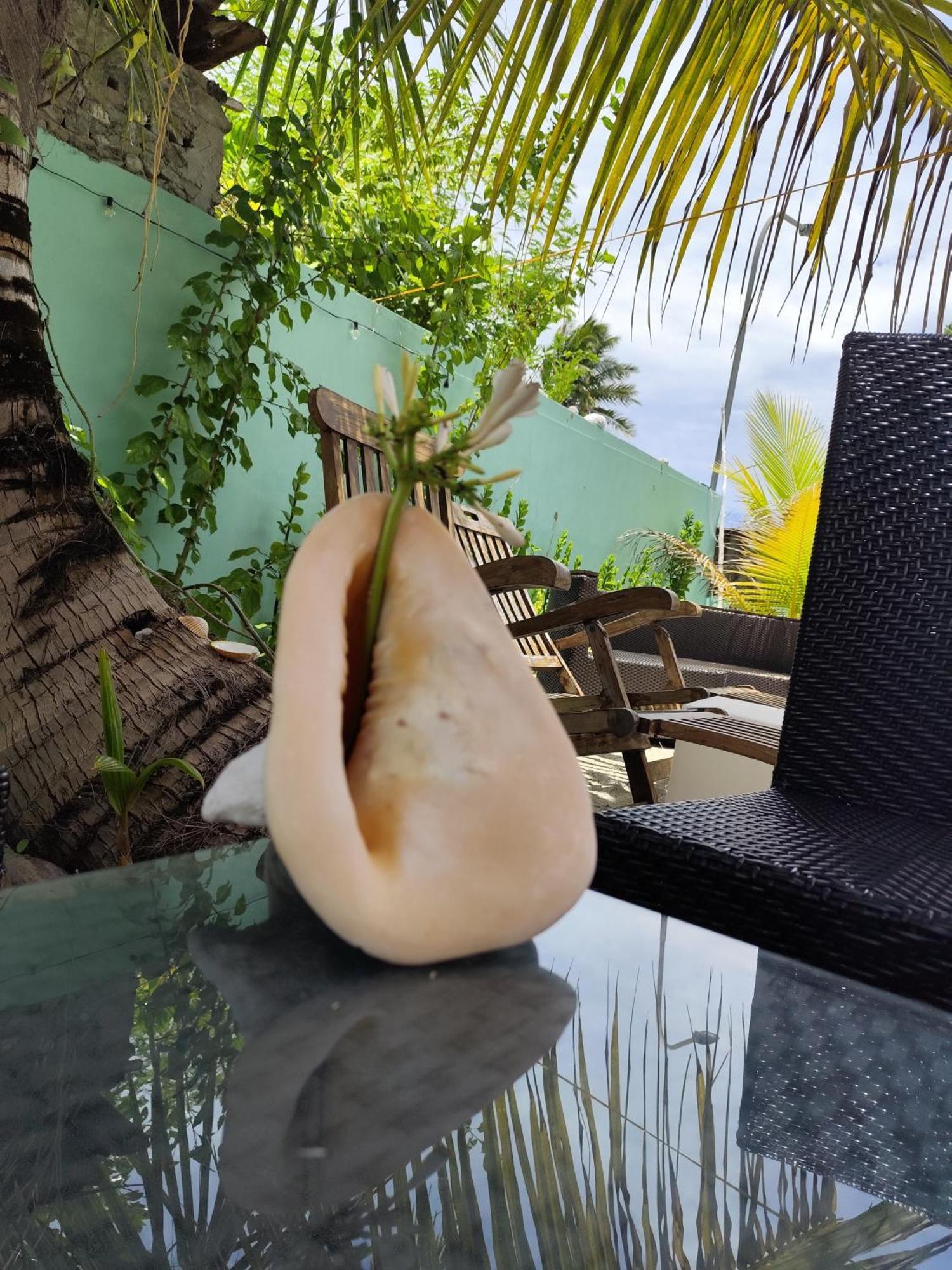Mamello Beach Club Maldives Фериду Экстерьер фото